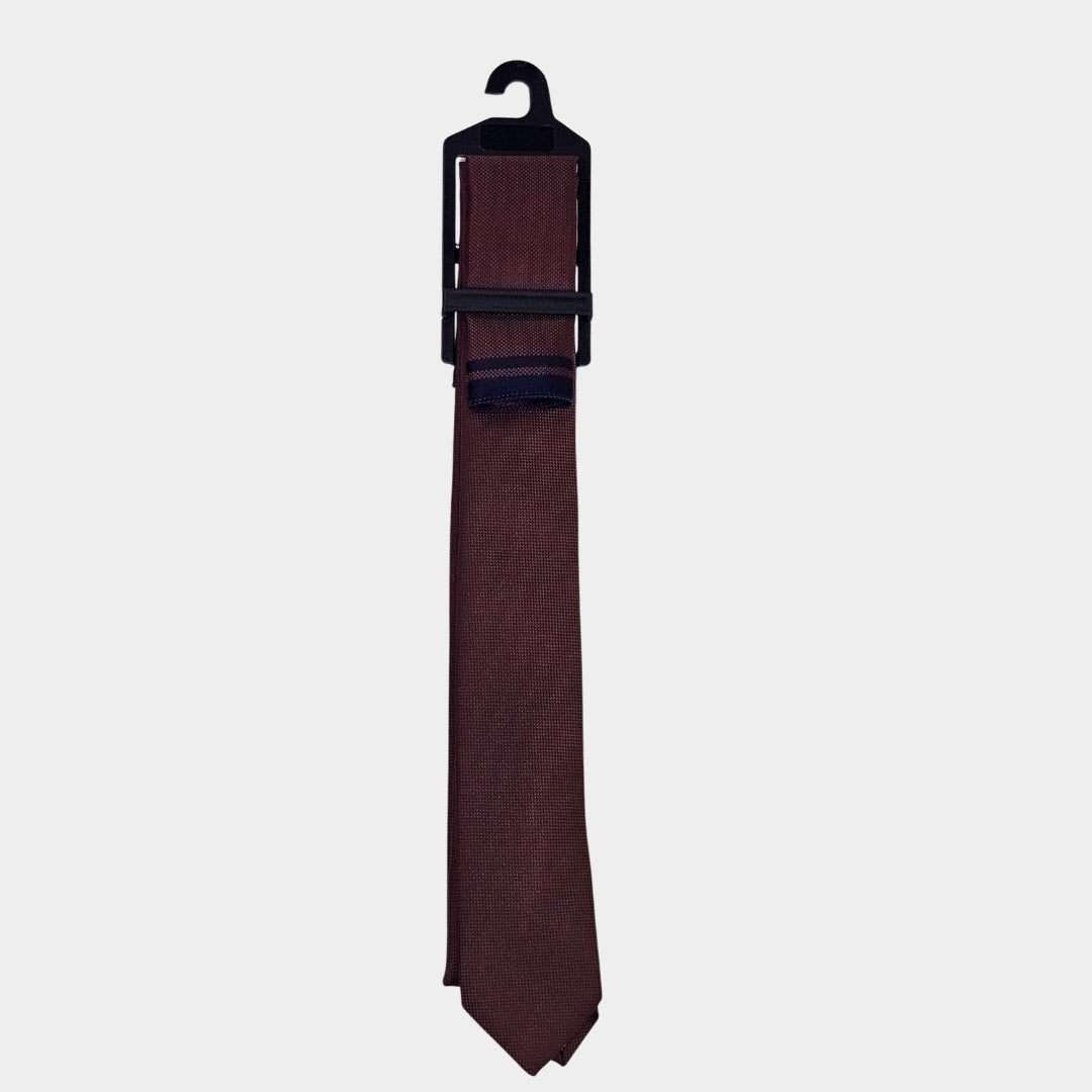 Navy/Brown Tie and Pocket Square Set