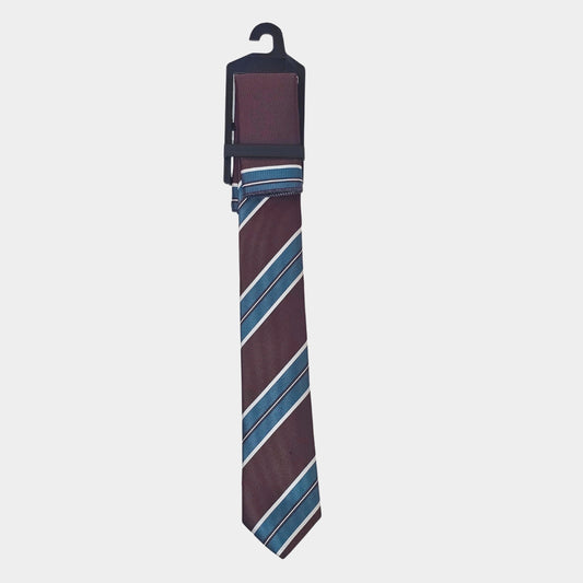Stripe Design Tie and Pocket Square Set - Eco-Friendly Elegance